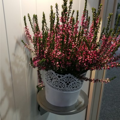 Blomsterpotteholder med magnetfeste.